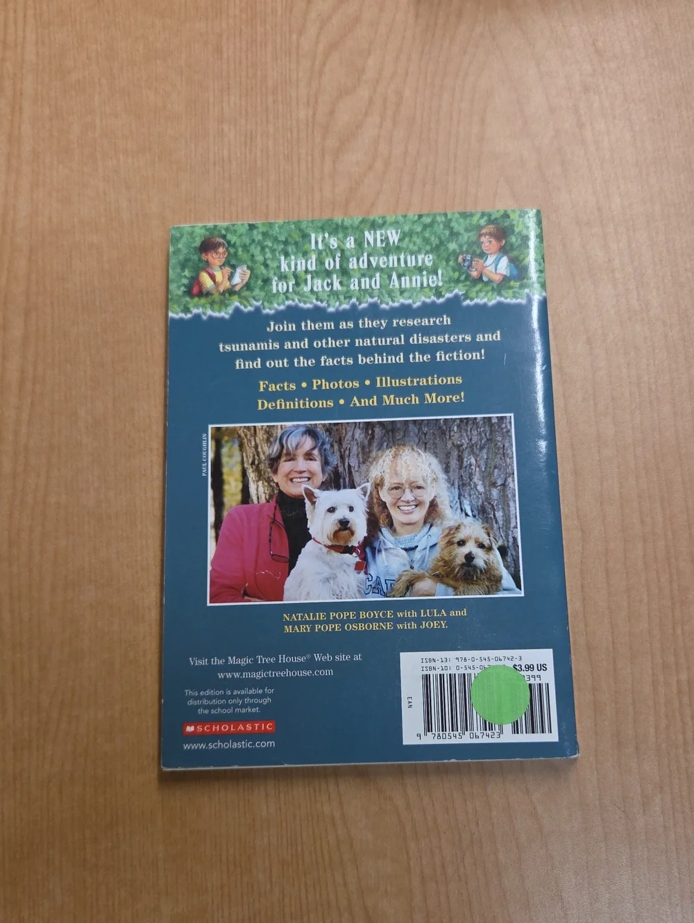 Scholastic great bundle